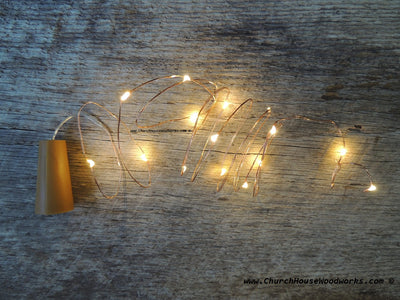 Wine Bottle Cork Lights and 100 LED String Lights